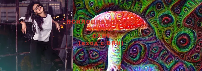 Псилоцибиновые грибы MAGIC MUSHROOMS  mega ссылки  Алейск 